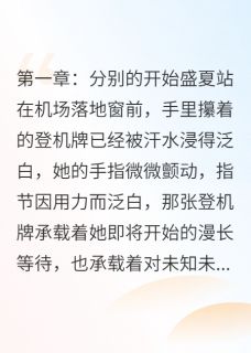 爆款小说暖光相伴:生活的温暖守护主角盛夏顾辞小顾歌全文在线完本阅读