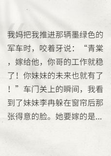 替嫁残疾军官，全家跪求我原谅[抖音]小说-陆振廷李冉无删减阅读-英驰看书网