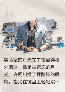 时空补丁许明川林夏全章节目录免费阅读