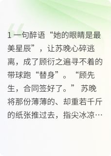 苏晚顾衍之全本章节在线阅读大结局