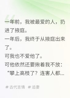 高质量小说掖庭烬在线试读