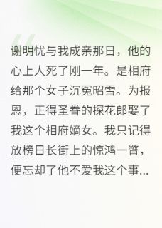 谢明忧与我成亲那日小说好看吗 周叙白谢明忧宋微最后结局如何-英驰看书网