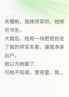 逼我让位穿越女,改嫁敌国当太后在线阅读 萧衍齐砚北狄免费小说精彩章节