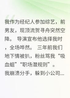 抖音小说顶流前任在直播时公开向我表白了贺寻舟许青禾全文txt