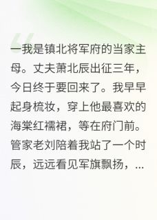 抖音爆款小说将军归来带回一个穿越女苏念萧北辰免费txt全文阅读