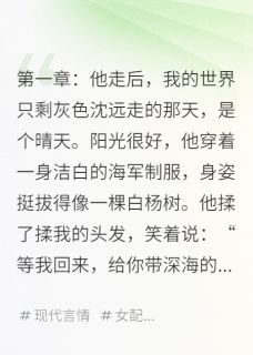 主角是沈远小蹊的我守着他的微信，等绿色的点亮起抖音热门小说-英驰看书网
