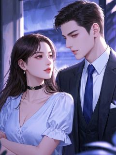 主角苏婉玉傅启年小说完整版-经水流年一场梦免费阅读全文