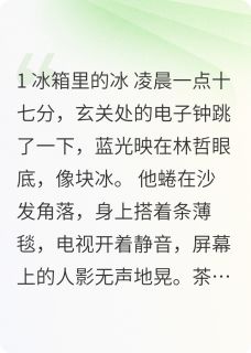(全集-免费)离婚后回老家遇到年少时的她完本小说_林哲苏晴陈瑶全文免费阅读
