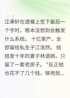 小说丈夫留十亿给私生子我获复仇系统主角为林语嫣江承轩孙雅婷免费阅读