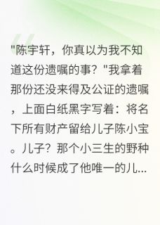 陈宇轩苏雅思琪小说章节目录阅读-丈夫留千万给私生子当晚被雷劈死在哪免费看