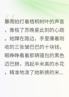 总裁的千层套路,砸在煎饼鏊子上(苏晚星陆知衍)精彩小说目录阅读-英驰看书网
