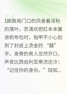 苏清欢陆知衍(原文完整)总裁的契约假妻是个黑莲花无弹窗免费阅读-英驰看书网