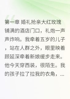 前夫结婚当天，我带着孩子去抢亲精彩小说-前夫结婚当天，我带着孩子去抢亲目录阅读