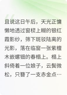 小说雪月风花主角为小月五娘免费阅读-英驰看书网