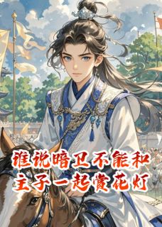 正版小说谁说暗卫不能和主子一起赏花灯?星临萧景琰在线免费阅读