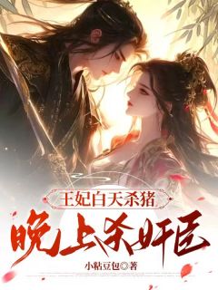 王妃白天杀猪晚上杀奸臣纪笑笑君临-小说未删减阅读