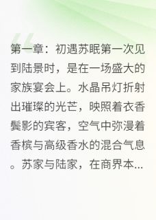 小说海棠未眠,泪已干主角为苏眠陆景免费阅读-英驰看书网