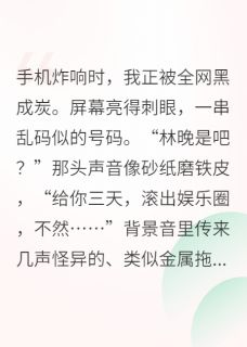 火爆玄学大佬在娱乐圈爆火了小说，主角是苏哲林晚在线阅读全文无删减-英驰看书网