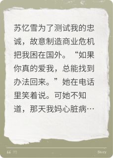 风吟绮念写的小说以爱之名试真心陆清砚苏忆雪全文阅读