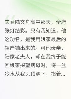 抖音热推小说成婚三年,婆母指我肚子骂我荒田全文在线阅读