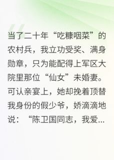 抖音爆款顶替我二十年,该把未婚妻还我了小说免费阅读-英驰看书网