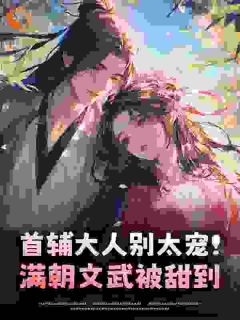 苏锦汐慕凌铄小说结局-英驰看书网