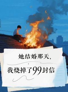 她结婚那天,我烧掉了99封信小说(完结)-林晚周慧兰章节阅读