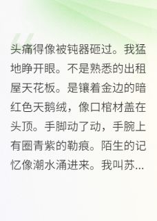 甜9先生写的小说穿成霸总囚妻,我摆烂成团宠顾沉舟张翠兰全文阅读
