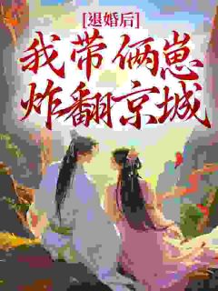 全章节小说退婚后生俩崽,夜王急吼吼!我的女王在线浪最新阅读