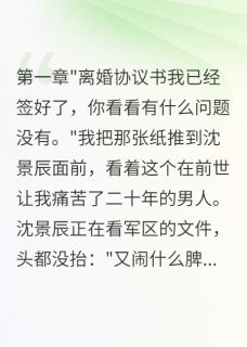 爆款小说拒绝伺候恶婆婆,我潇洒离婚主角沈景辰林雪全文在线完本阅读