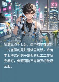 赛博社工崩溃实录章节全目录 李北海小微全文免费阅读