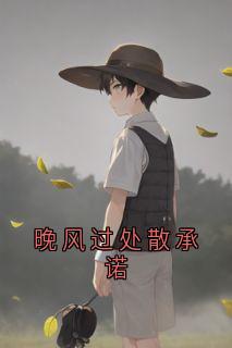 主角是姜释屿傅嫣然的小说晚风过处散承诺最完整版热门连载