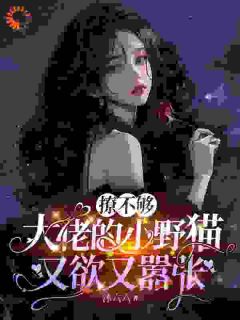 独家当替身?不,我是掀棋局的小野猫小说-主角苏姜陆晨矅全文免费阅读