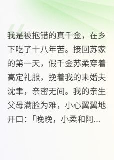 沈聿苏柔苏振海全文阅读最新 沈聿苏柔苏振海小说目录