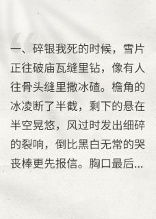 无弹窗小说雪落时,魂归处 作者非罗