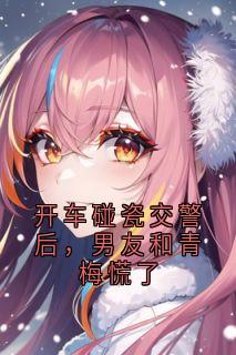 抖音小说开车碰瓷交警后,男友和青梅慌了佳佳洛洛全文txt