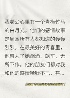 抖音小说陆程安黎初禾陆程安黎初禾无弹窗试读