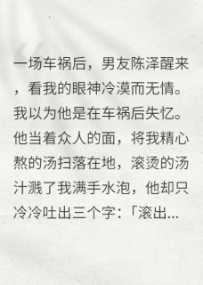 快手陈泽夏安林薇主角的小说全本章节大结局-英驰看书网