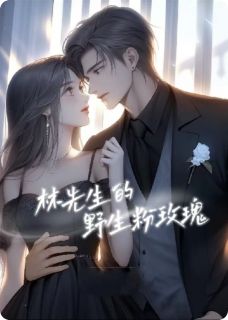 林先生的粉色野玫瑰林泽川苏菲小说全文阅读-英驰看书网