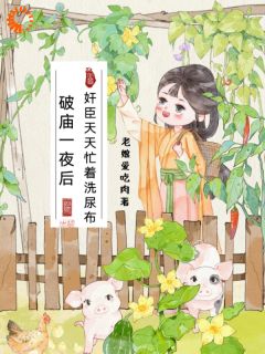 破庙一夜后,奸臣天天忙着洗尿布章节全目录 宋刀刀江寒钊全文免费阅读