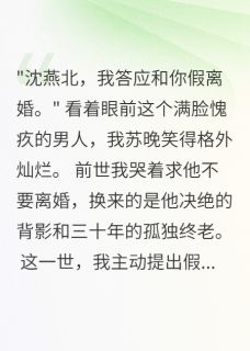 军嫂重生后主动提出假离婚小说-军嫂重生后主动提出假离婚抖音小说沈燕北陈志远