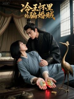 抖音爆款冷王怀里的骗婚贼完整小说(全文阅读)-英驰看书网