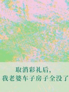 取消彩礼后,我老婆车子房子全没了薛玉茹陈阳-咸鱼微甜小说