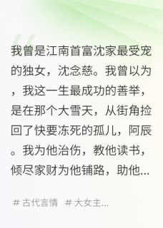 养子登基,第一道圣旨是诛我九族免费小说作者极道无界全文阅读