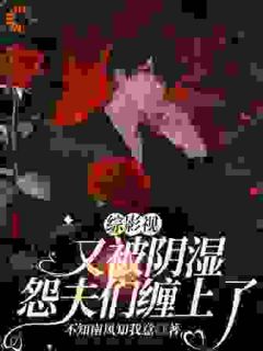 小说推荐综影视:又被阴湿怨夫们缠上了完结版全章节阅读