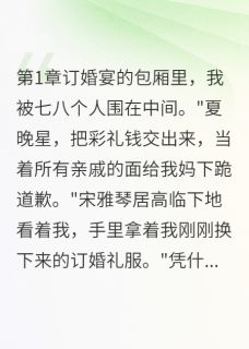 晚星宋景辰李淑华(原文完整)订婚宴上,他们让我给全场下跪无弹窗免费阅读-英驰看书网