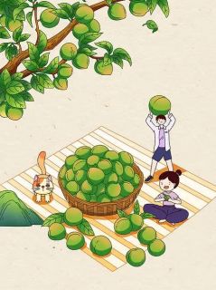 好书推荐微雨慕枫罗睿轩微雨顾青青全文在线阅读-英驰看书网