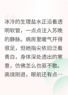 苏晚陆沉舟林薇薇是什么小说免费版阅读抖音热文-英驰看书网