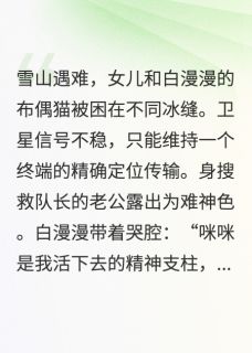 安安江时延白漫漫全本章节在线阅读大结局-英驰看书网