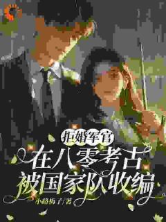 拒婚军官:在八零考古被国家队收编知乎小说最新章节阅读